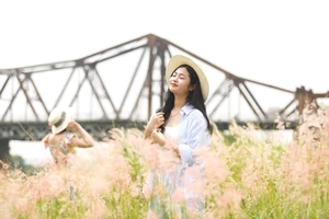 Giới trẻ đổ xô đi check-in với bãi cỏ lau dưới chân cầu Long Biên