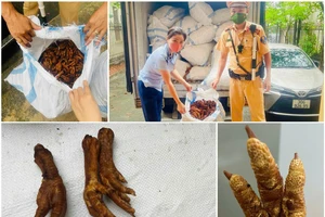 Thu giữ hơn 1 tấn chân gà không rõ nguồn gốc trên đường tuồn về Hà Nội tiêu thụ