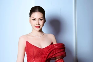 Khởi tố vụ án Hoa hậu Bùi Quỳnh Hoa bị vu khống