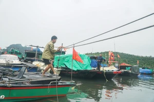 Bão số 9 chưa đến, người dân lại lo bão số 10