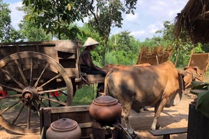 HTV3 làm mới loạt phim cổ tích Việt Nam 'Rồng rắn lên mây' 