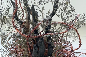 'Nhựa cây vẫn chảy', một triển lãm kỳ lạ có mặt tại Sài Gòn