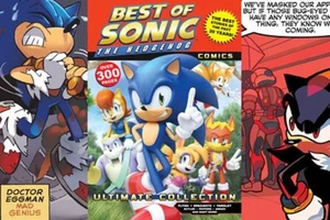  Những sự thật thú vị ít ai biết về siêu nhím Sonic
