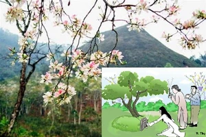 Cần làm gì vào tết Thanh minh mùa COVID-19? 