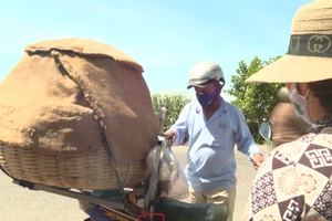 Người cha quặn lòng, bất lực khi nhìn con gái phải bỏ học để phụ giúp gia đình