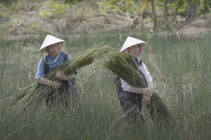 Thùy Tiên cùng MisThy kêu gọi ủng hộ sản phẩm làng nghề truyền thống