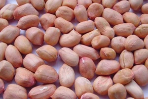 Những lợi ích khi ăn đậu phộng mà bạn không thể bỏ qua