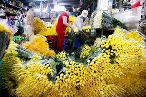 Mua nhanh, bán nhanh ở chợ hoa Đầm Sen để phòng dịch COVID-19