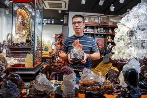 Chiêm ngưỡng bộ sưu tập rồng đá quý 'khủng' ở TP.HCM