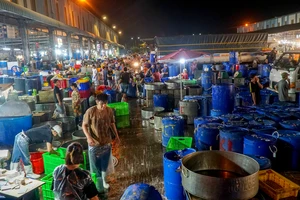 Ngày vía Thần Tài: Hơn 300 tấn cá lóc về chợ đầu mối Bình Điền