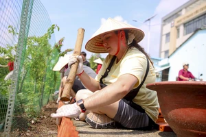 Thủy thủ tàu Hải quân Hoàng gia Canada Montréal giúp mái ấm Tình Mẹ 2 trồng rau, lát gạch…