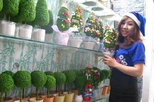 'Cá kiếm' mùa Noel