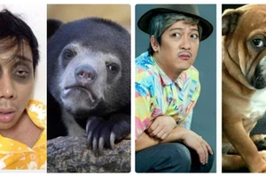 Phì cười với ảnh ghép Trấn Thành dìm hàng đồng nghiệp