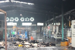 Công ty Hiệp Phước Thành: Cháy xong rồi cháy lại! 