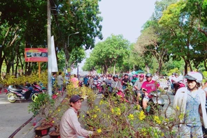 “Thà mang mai về chứ không xổ rẻ!”