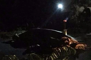 Nghệ An: Người đàn ông chết lõa thể cách nhà hơn 100 m