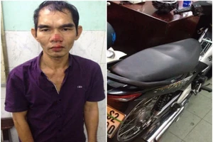 'Siêu trộm' tông vào gốc cây khi trinh sát truy đuổi