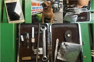 2 chú chó rượt tên trộm chạy té khói, rơi cả đồ nghề