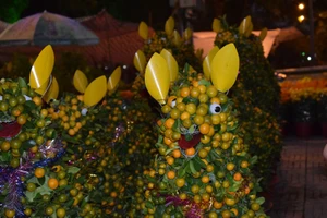 Cặp chó 5 triệu làm từ hàng trăm cây quất hút khách