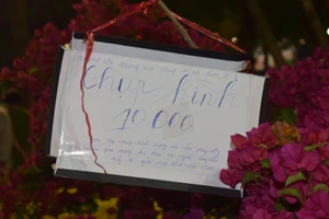 'Chụp hình 10.000 đồng' và câu chuyện buồn sau tấm biển