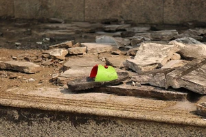 Đứa trẻ Carina: Ba ơi, mình không về nhà được không ba?