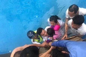 Bé gái bị ống nước bể bơi hút tay và lời khuyên của cảnh sát