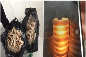 Vụ bắt 6 kg nghi ngà voi: Chỉ có 0,76 kg là thật