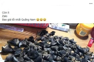 Quảng cáo bán động vật hoang dã có thể bị phạt trăm triệu 