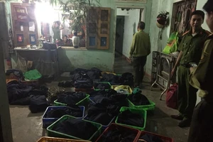 Bị tăng án từ 2 lên 5 năm tù vì nuôi nhốt động vật hoang dã 