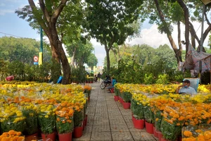 TPHCM vận động người dân mua hoa ủng hộ tiểu thương đón tết