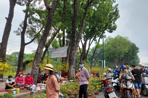Ngày 30 Tết: Tấp nập mua bán, cây kiểng 'cháy hàng'