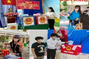 Hình ảnh diễn viên, hoa khôi, người đẹp đi bầu cử