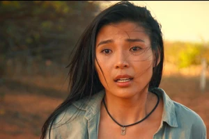 Tại sao Thúy Diễm kêu gọi fan dừng bình chọn cho mình tại VTV Awards?