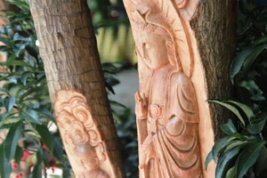 Độc đáo cây phát tài khắc hình Phật tại chợ hoa Sài Gòn