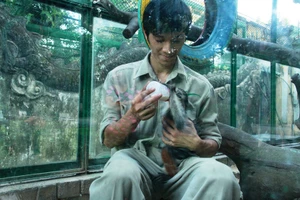 'Mẹ nuôi của khỉ' ở Thảo Cầm Viên Sài Gòn