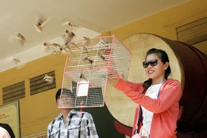 Số phận nghiệt ngã của những chú chim 'được' phóng sinh