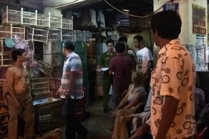 Chủ tiệm chim cảnh ở Sài Gòn bất ngờ bị đâm tử vong