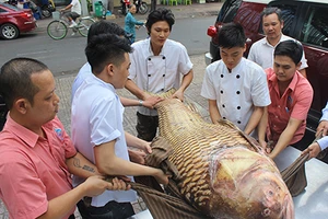 Cá hô quý hiếm hơn 1 tạ lại về nhà hàng tại TP.HCM