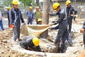 Đốn hạ cây trên đường Tôn Đức Thắng là 'việc chẳng đặng đừng'