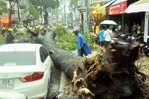 Hàng chục người dân nâng cành cây giải cứu nạn nhân