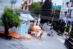 Trộm chim cảnh tiền triệu trong vài chục giây