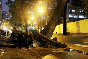 Cây cổ thụ bật gốc ở trung tâm TP, đường kẹt cứng