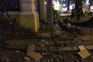 Nhánh cây trước Bưu điện TP.HCM rơi trúng 1 phụ nữ