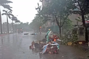 Đánh phụ nữ cướp 1 con gà