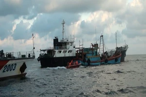 3 tàu nước ngoài bán dầu lậu trên biển