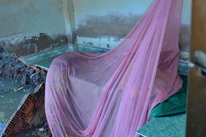 TP.HCM: 5 ngôi nhà bất ngờ sụp xuống sông