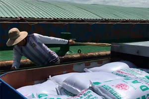 Bắt giữ 5 tàu chở 1000 tấn phân bón không rõ nguồn gốc