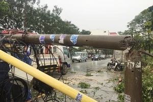 Mưa lớn, cây đè cột điện ở quận 2, giao thông hỗn loạn