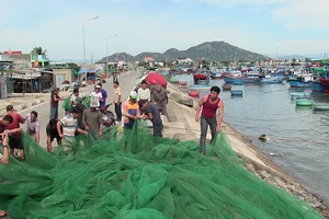 Dân Ninh Thuận chằng chống tài sản chống bão số 12