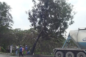 Tông gốc cây, tài xế xe bồn chết cháy trong cabin